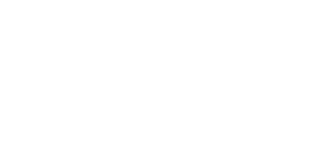The Jersey Rebels